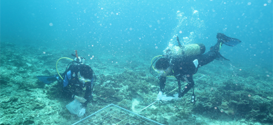 Department of Marine Biodiversity and Conservation