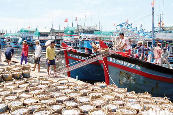 Phạt tiền tới 100 triệu đồng đối với các hành vi thu gom, mua bán, lưu giữ, sơ chế, chế biến, bảo quản, vận chuyển trái phép thủy sản 