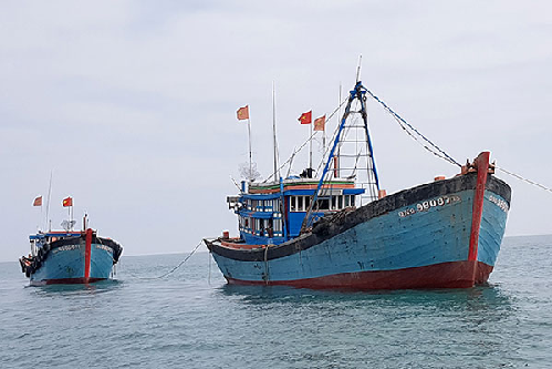 Nội dung cơ bản của Nghị định quy định Xử phạt vi phạm hành chính trong lĩnh vực Thủy sản 