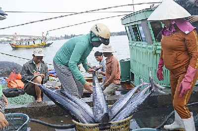 Fishery production in the first 9 months reached 5,964 thousand tons, up 5.4%