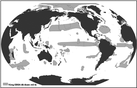 Thiết lập vùng đặc thù sinh học hoặc sinh thái (EBSA) – một cách tiếp cận mới trong bảo tồn biển Việt Nam 