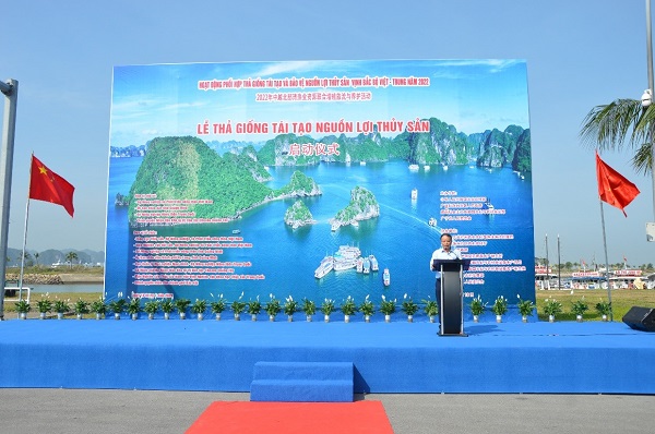 Hoạt động phối hợp thả giống tái tạo và bảo vệ nguồn lợi thủy sản Vịnh Bắc Bộ Việt - Trung năm 2022