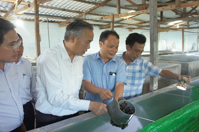  Khảo sát vùng lưu giữ giống Rong sụn và kiểm tra tiến độ triển khai dự án sản xuất giống bào ngư vành tai tại Ninh Thuận.