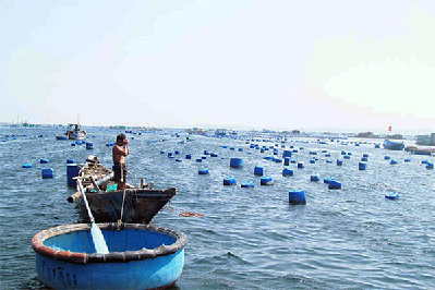 Nuôi biển Việt Nam và vai trò của chương trình tín dụng đầu tư trong nuôi biển 