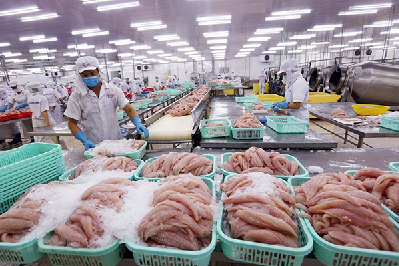 Năm 2020: Kiểm soát chất lượng an toàn thực phẩm để mở rộng thị trường xuất khẩu 