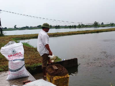 Hải Dương: Đẩy mạnh ứng dụng công nghệ biofloc trong nuôi thủy sản