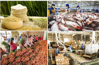 Tổng giá trị xuất khẩu nông lâm thủy sản 8 tháng đầu năm 2020 đạt 26,15 tỷ USD 