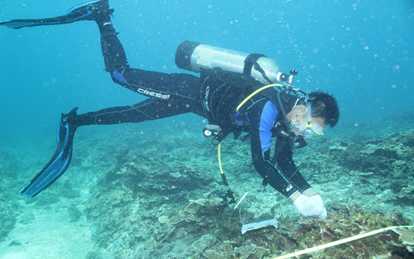 Coral reef fishes as a biomarker of habitat restoration at Cat Ba islands, VietNam